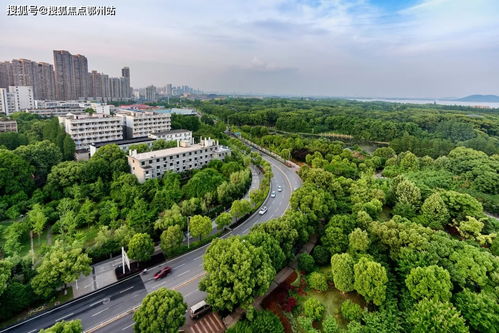 嘉興平湖愛情花漫里官方網站 開啟浪漫生活，歡迎您的到來